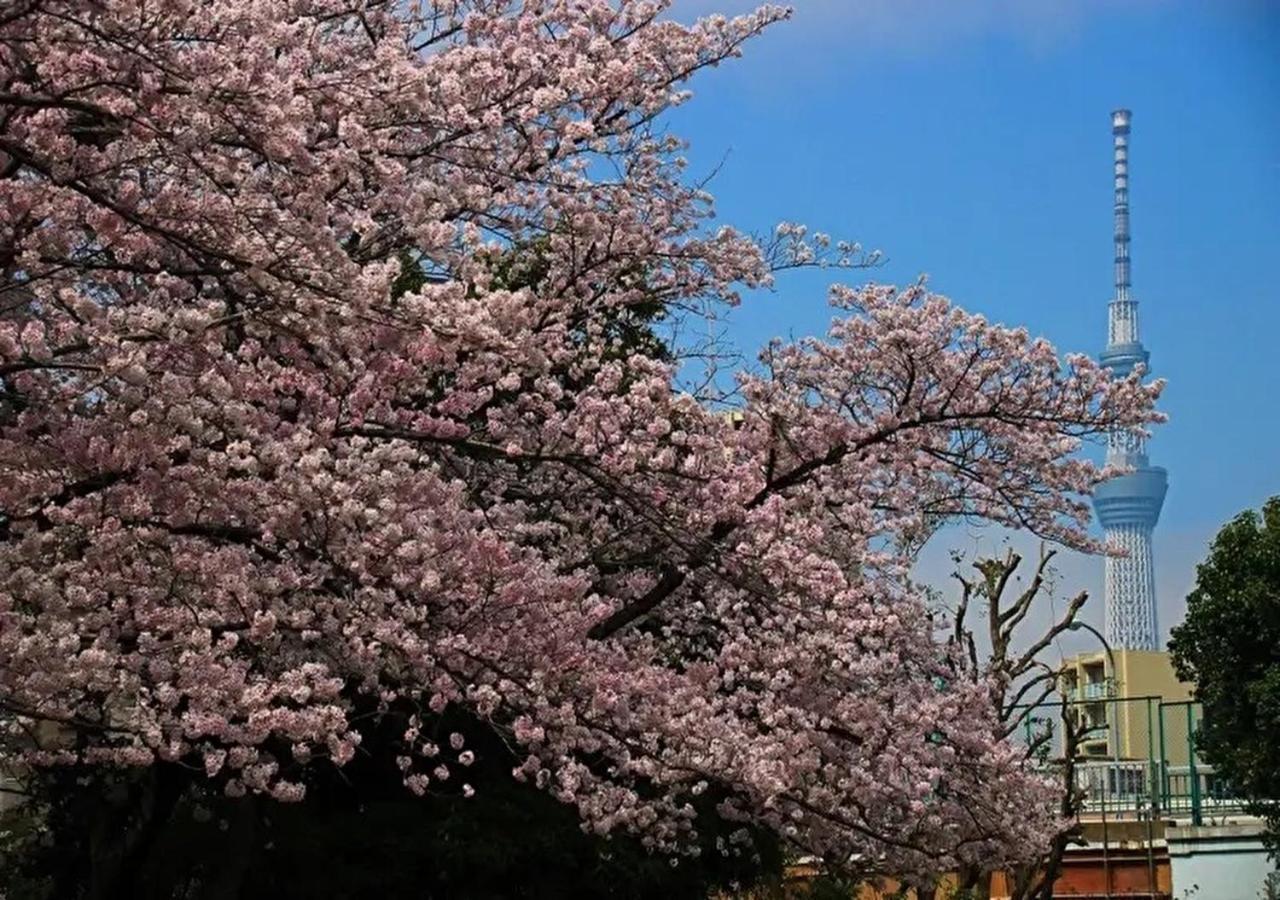 Casa vacanze Kamei House Tokyo